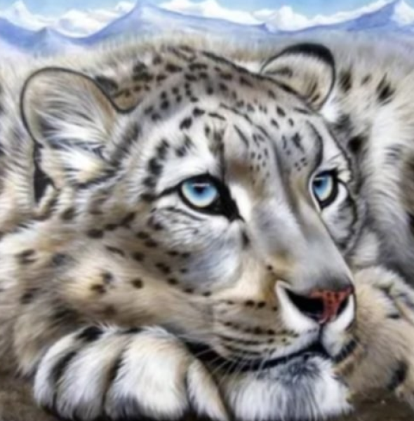 Diamond Painting Schnee Leopard